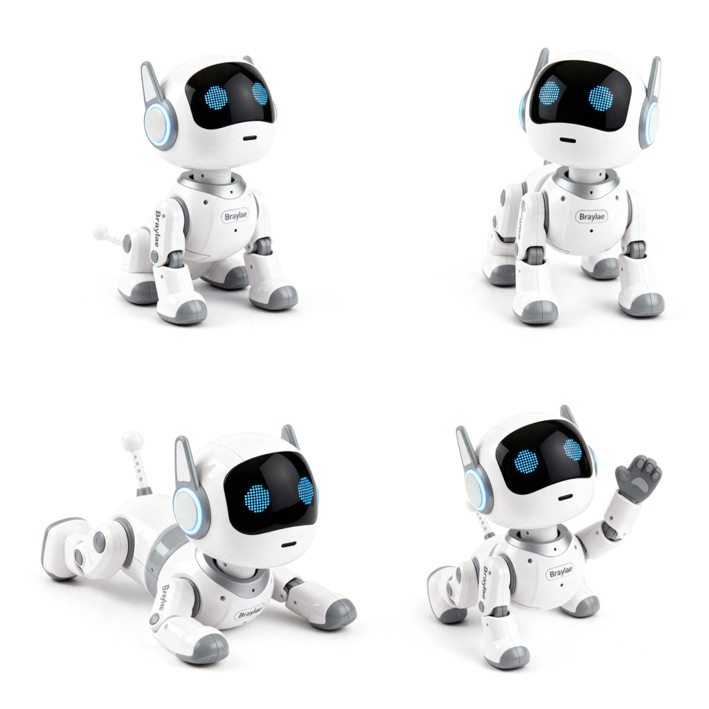 Braylae Kids’ Voice-Controlled Robot Pet